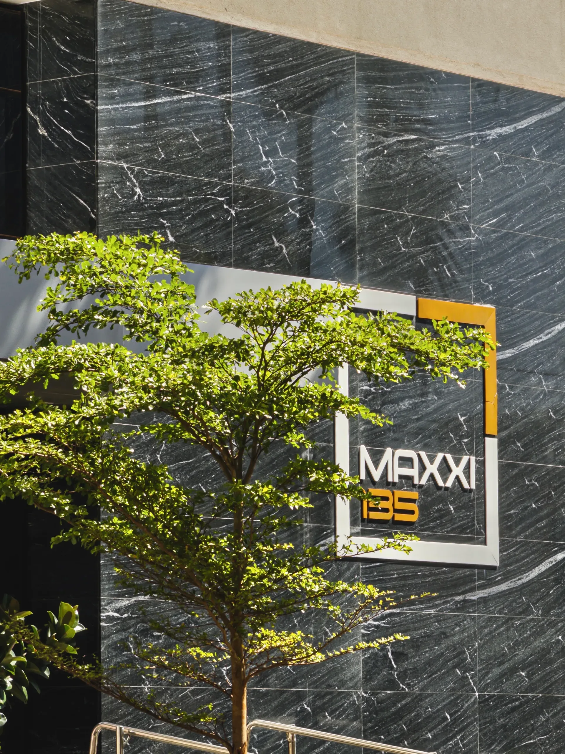Maxxi 135