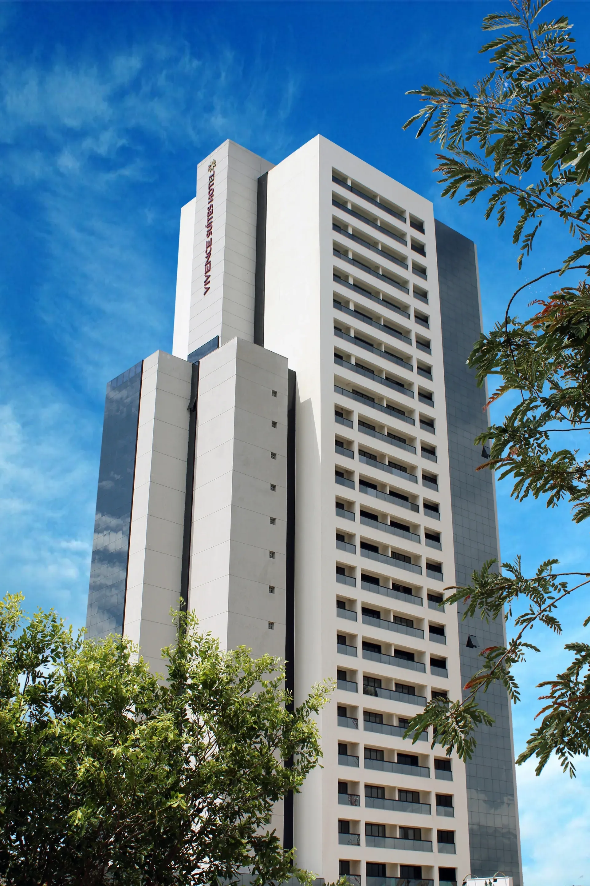 Cosmopolitan — Palmas