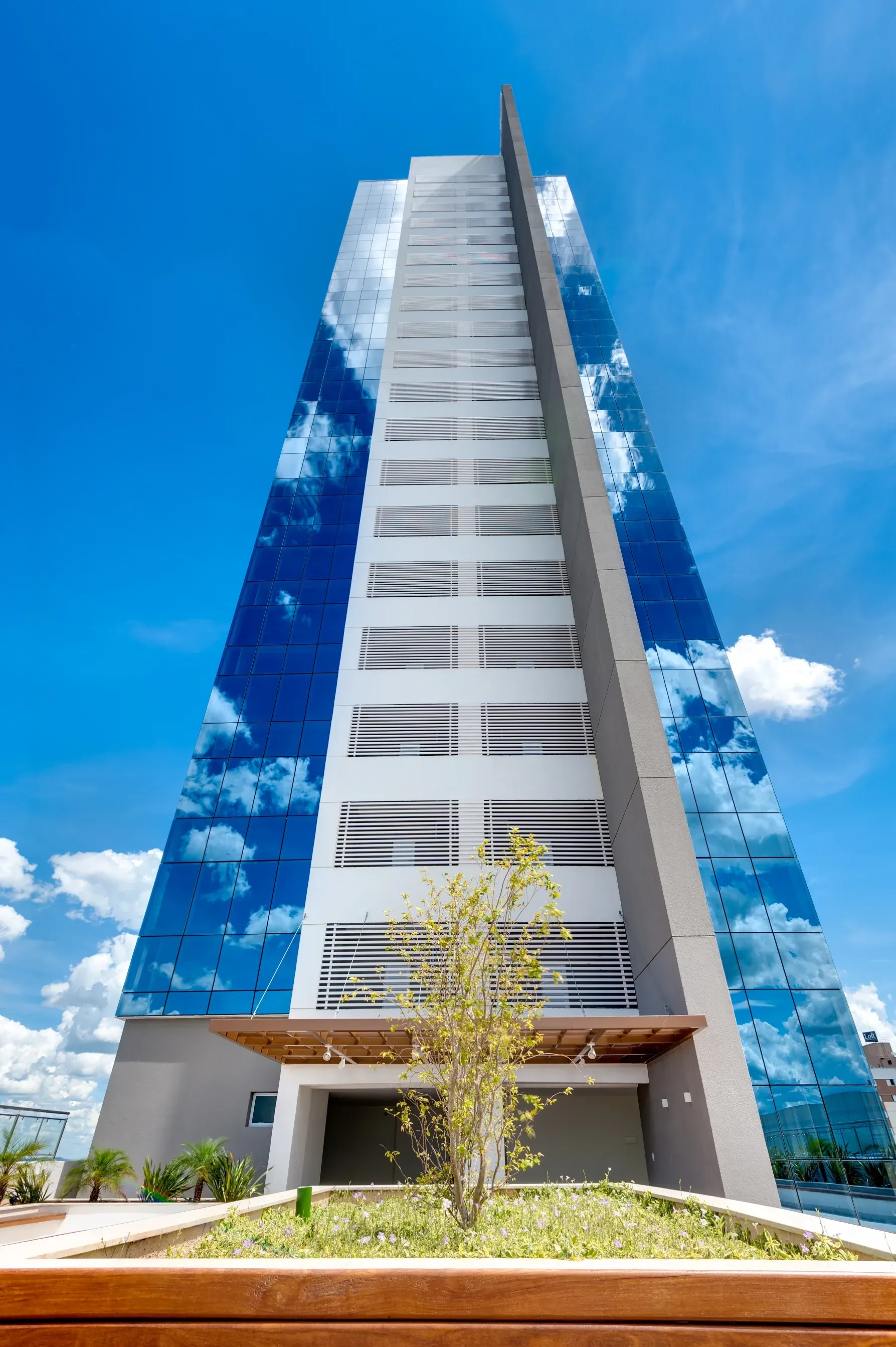 eBusiness Rio Verde — Aparecida de Goiânia