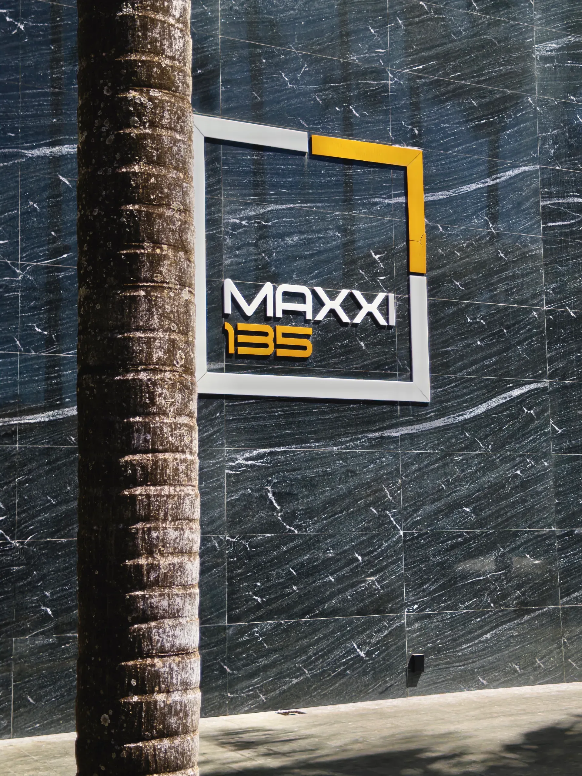 Maxxi 135