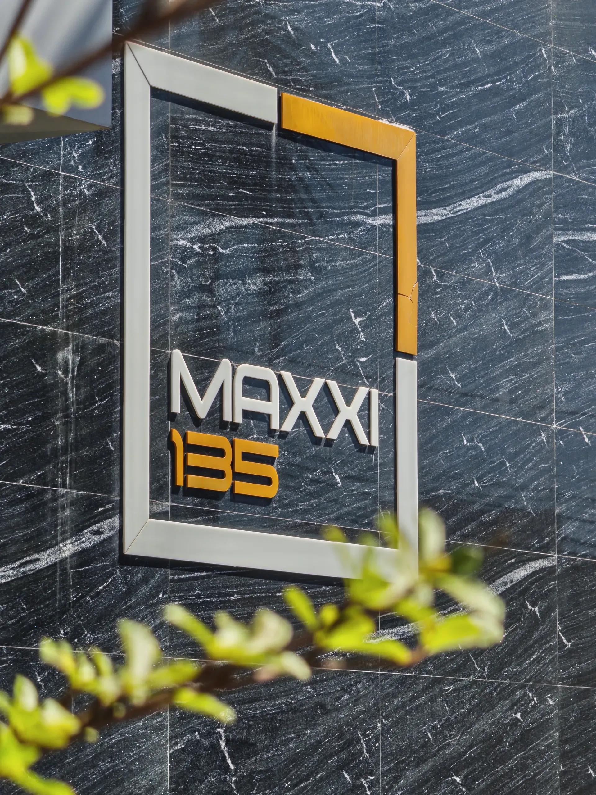 Maxxi 135