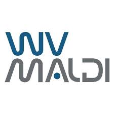 Wvmaldi Incorporacoes